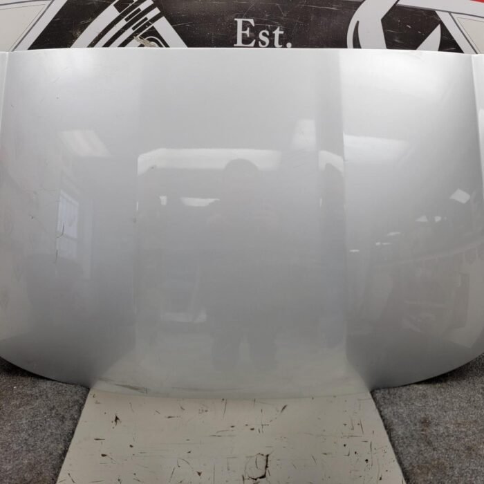 20240405_101124 SCUFFED 2014-2019 C7 Chevrolet Corvette Z06 Coupe OEM Removable Roof Lift Off Panel Blade Silver